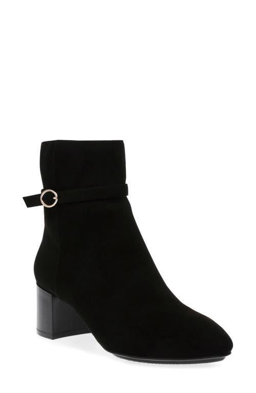 Anne Klein Kaci Block Heel Bootie Product Image