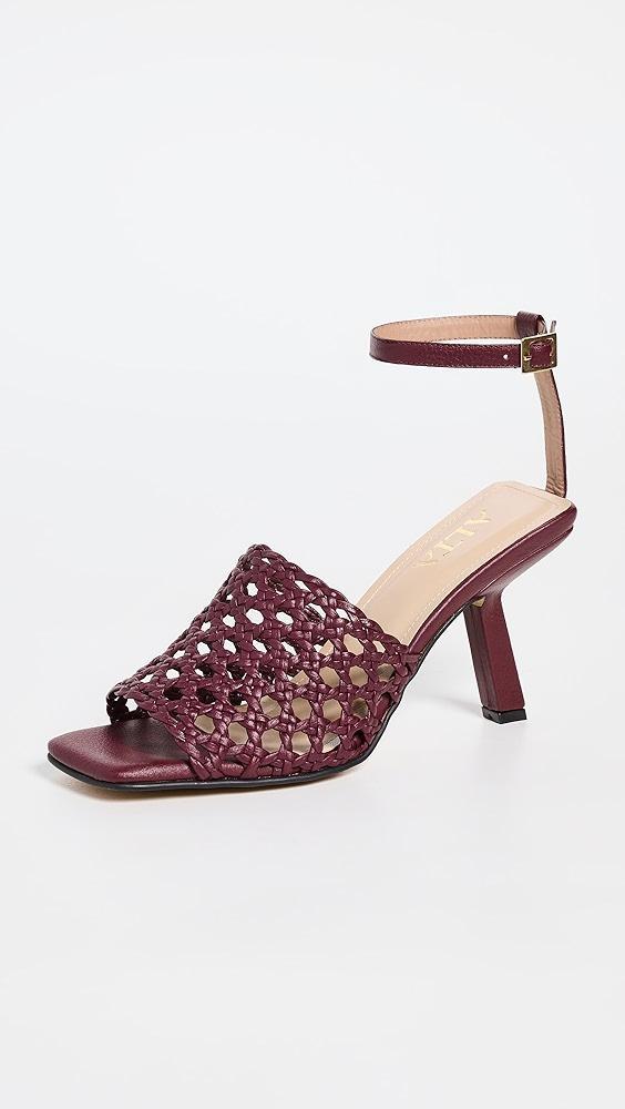 ALTA Francca Wine Sandals | Shopbop Product Image