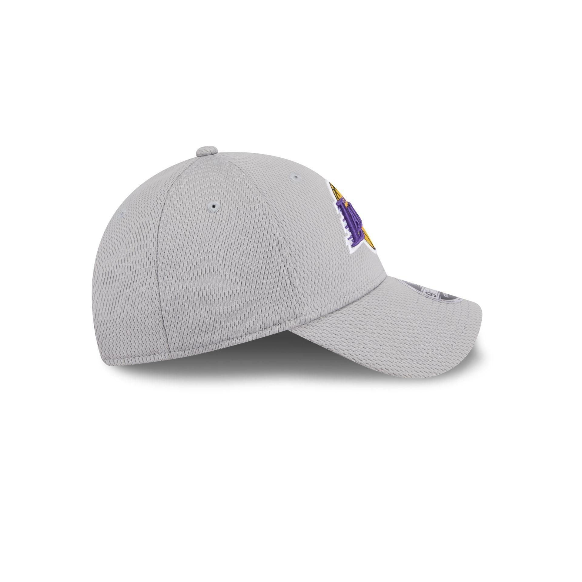 Los Angeles Lakers Gray 9FORTY Stretch-Snap Hat Male Product Image