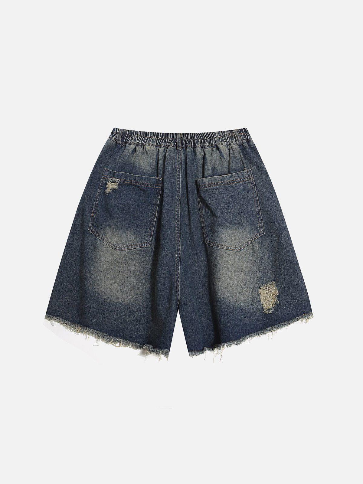 Aelfric Eden Distressed Washed Jorts Product Image