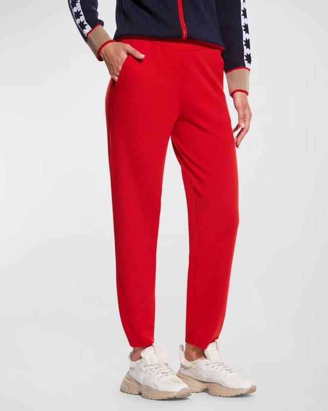 Taylor Merino Wool Jogger Pants Product Image