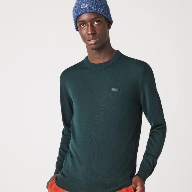 Merino Wool Crew Neck Sweater Product Image