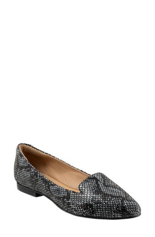 Trotters Harlowe Pointed Toe Loafer (Women) - Multiple Widths Available Product Image