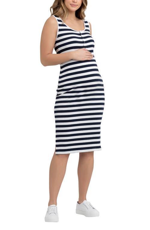 Ripe Maternity Lee Stripe Snap Button Maternity/Nursing Dress Product Image