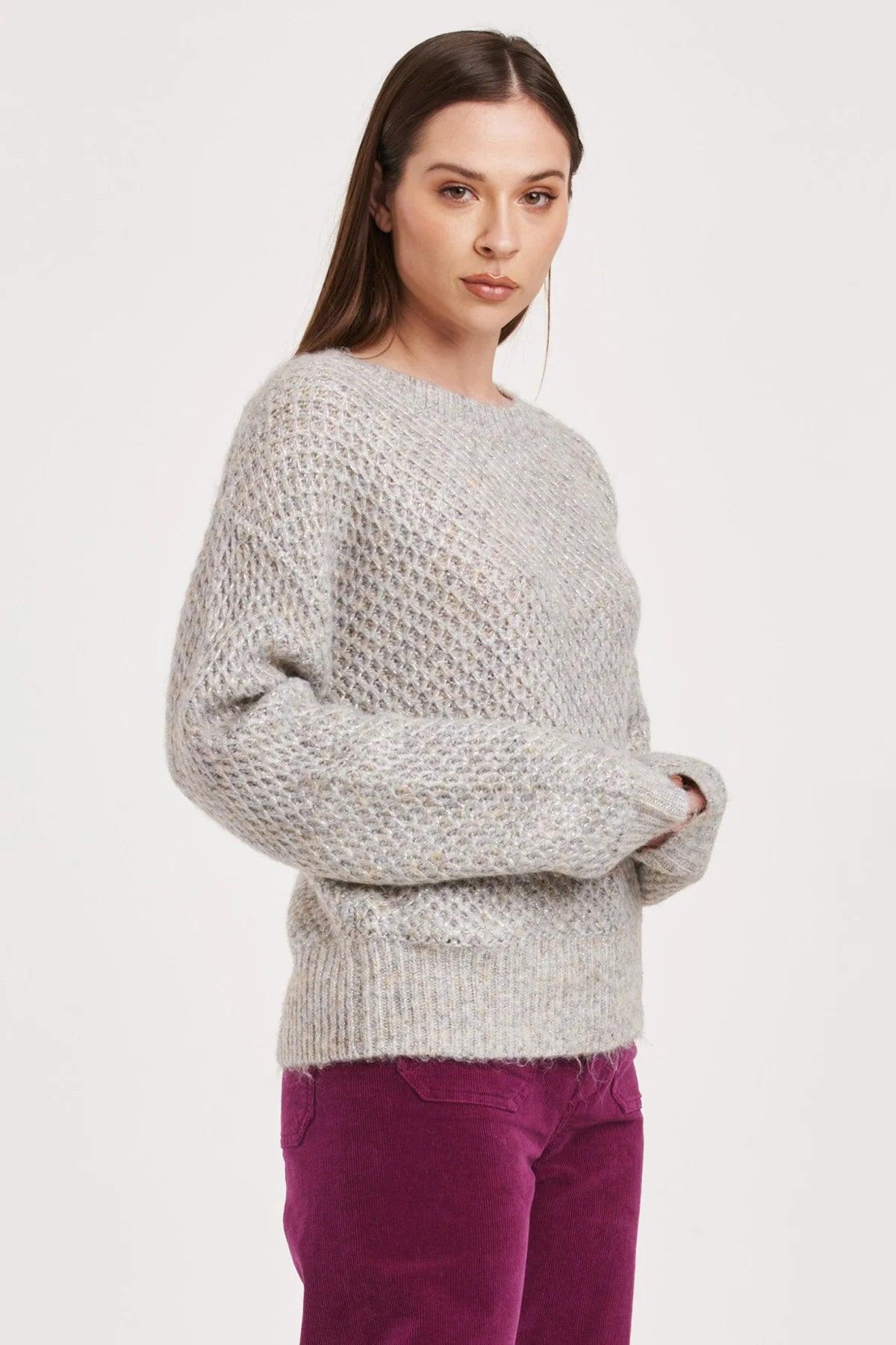 Anisa Crew Neck Silver Sweater Product Image