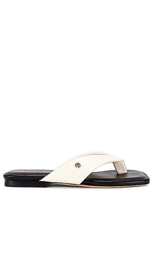 Viola Flat Sandals Product Image