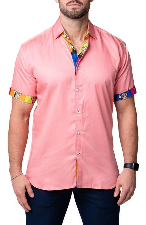 Mens Galileo Pazole Shirt Product Image