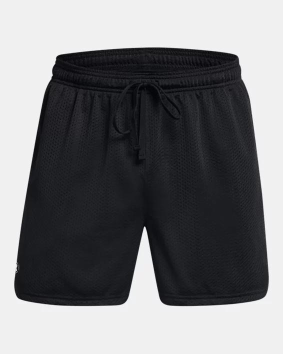 Men's UA Icon Mesh Shorts Product Image