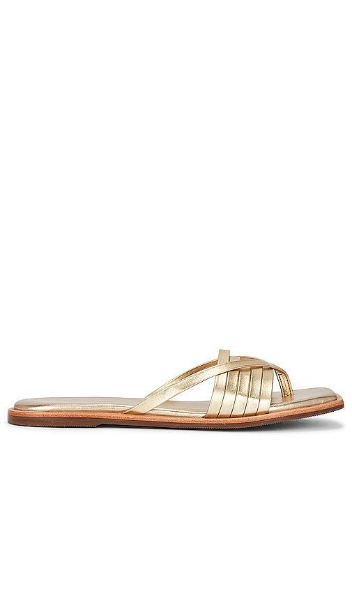 Kaanas Makian Sandal in Metallic Gold. Size 6. Product Image