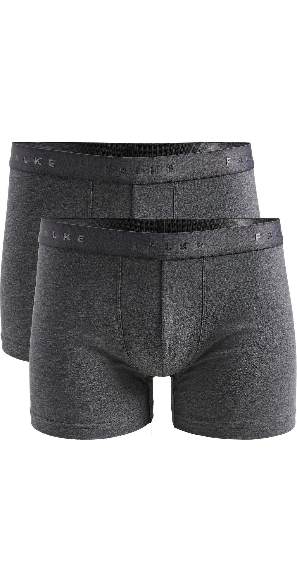 Mens Boxer Brief 2-Pack Product Image