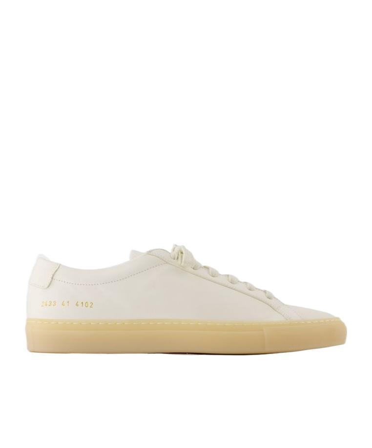 COMMON PROJECTS Man Sneakers Light Grey Size 11 Soft Leather In White Product Image