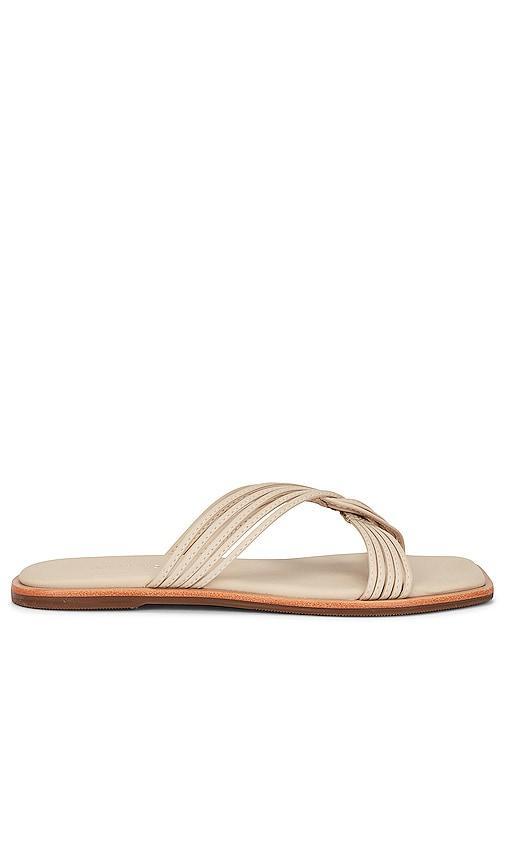 Kaanas Nasu Sandal in Beige. - size 6 (also in 10, 11, 7, 8, 9) Product Image