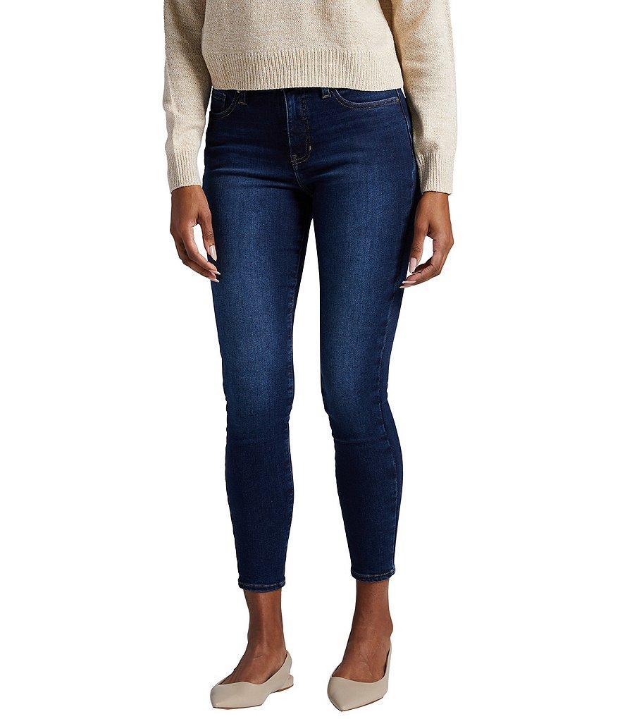 Jag Jeans Forever Stretch Mid Rise Skinny Denim Jeans product image