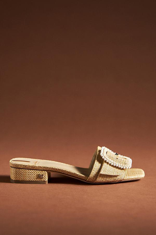 Sam Edelman Deacon Sandal Product Image