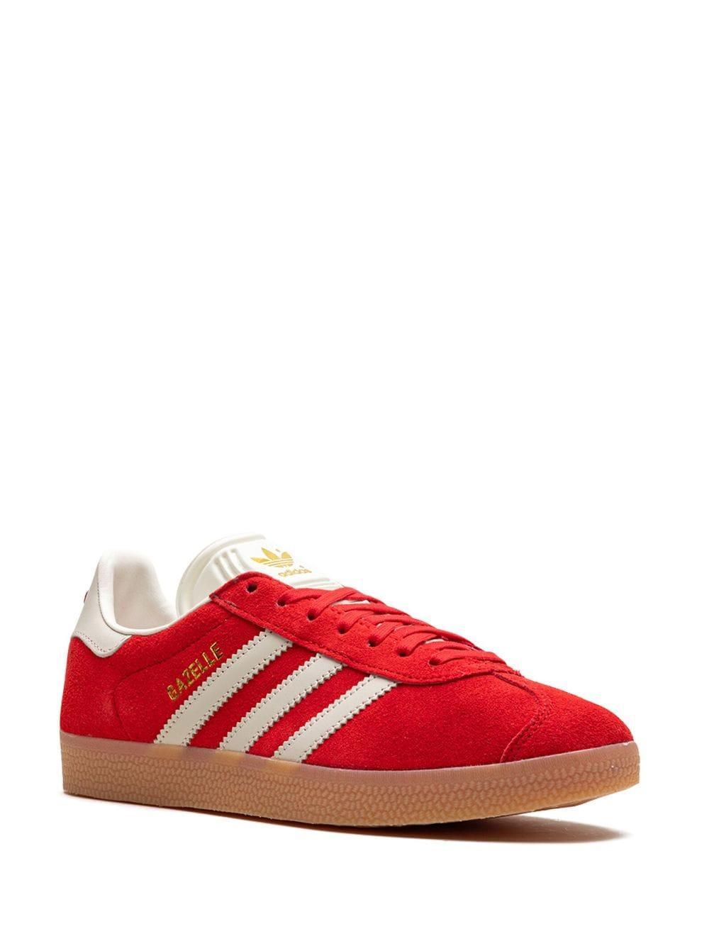 Gazelle "Red" sneakers Product Image