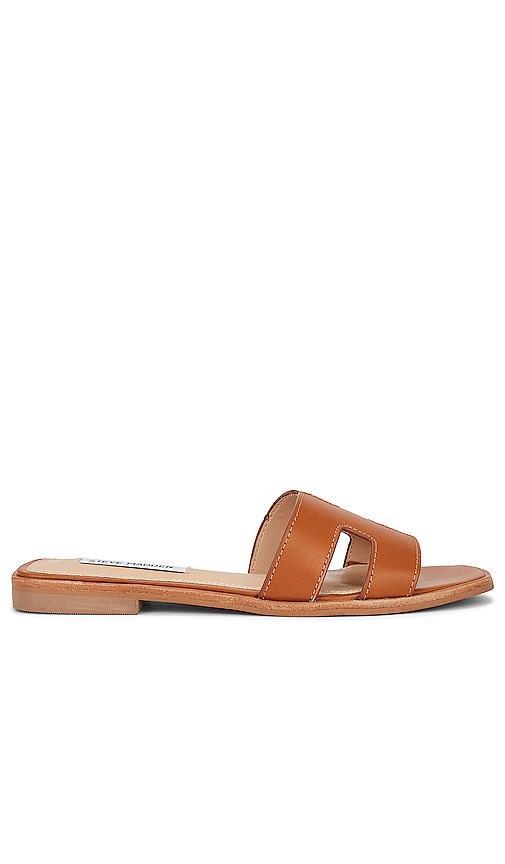 Steve Madden Womens Hadyn Slide Sandals Product Image