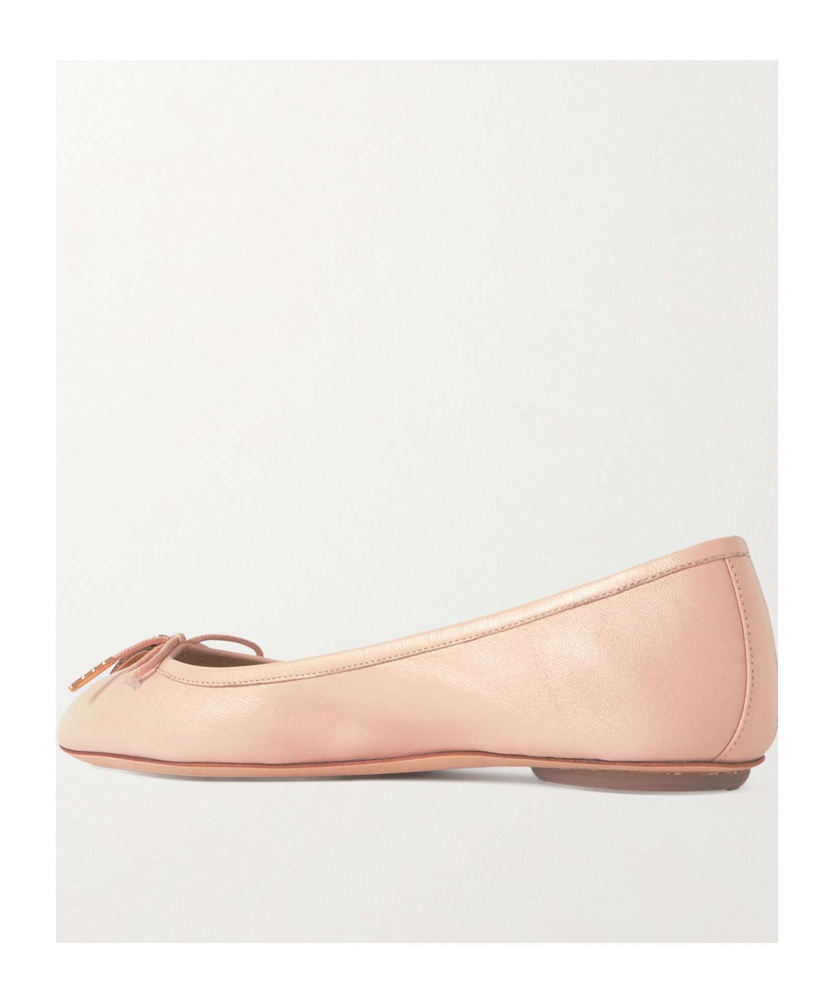 CHLOÉ Iris Embellished Ballet Flats In Nude Product Image