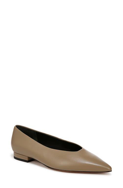 Isabel Pointed Toe Flat In Safari Beige Leather Product Image