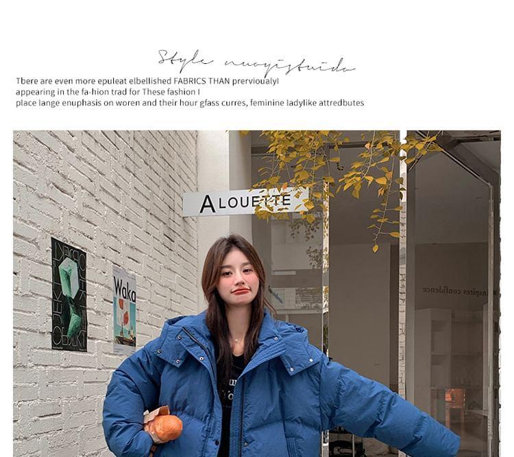 Plain Hooded Zip Puffer Jacket Product Image