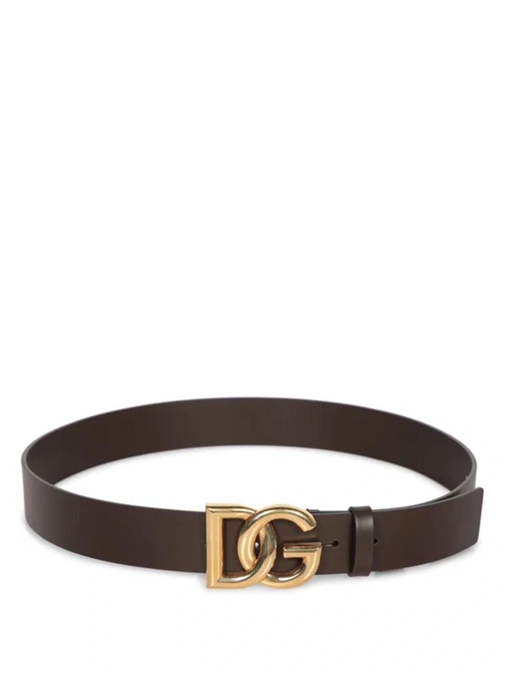 Dg Gold-brown Belt Product Image