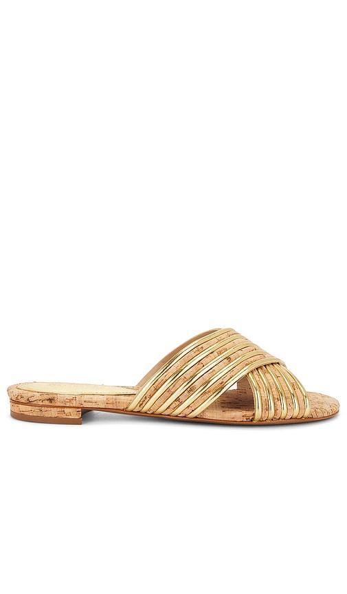 Latifah Flat Sandal Product Image