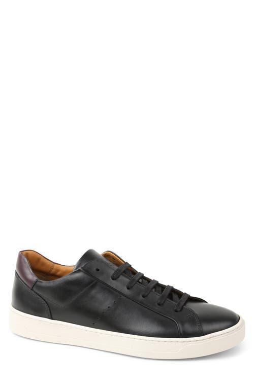 Bruno Magli Dante Oxford Sneaker Product Image