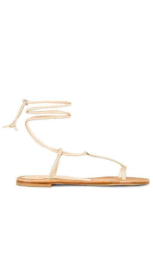 Sassari Sandal Product Image