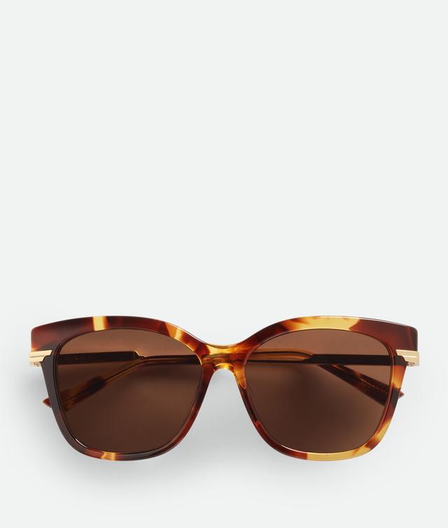 Women's Classic Square Sunglasses in Havana/brown Product Image