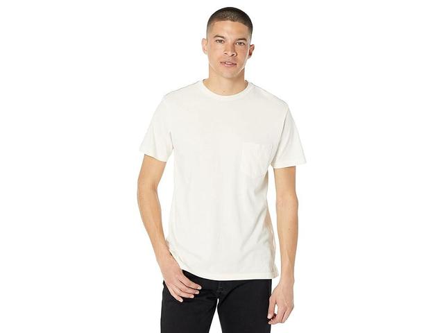 RVCA PTC Pigment Short Sleeve Tee Haze) Men's Clothing Product Image