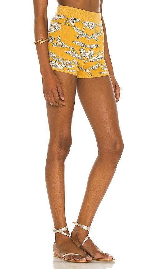 House of Harlow 1960 x REVOLVE Prue Knit Shorts Size L, S. Product Image