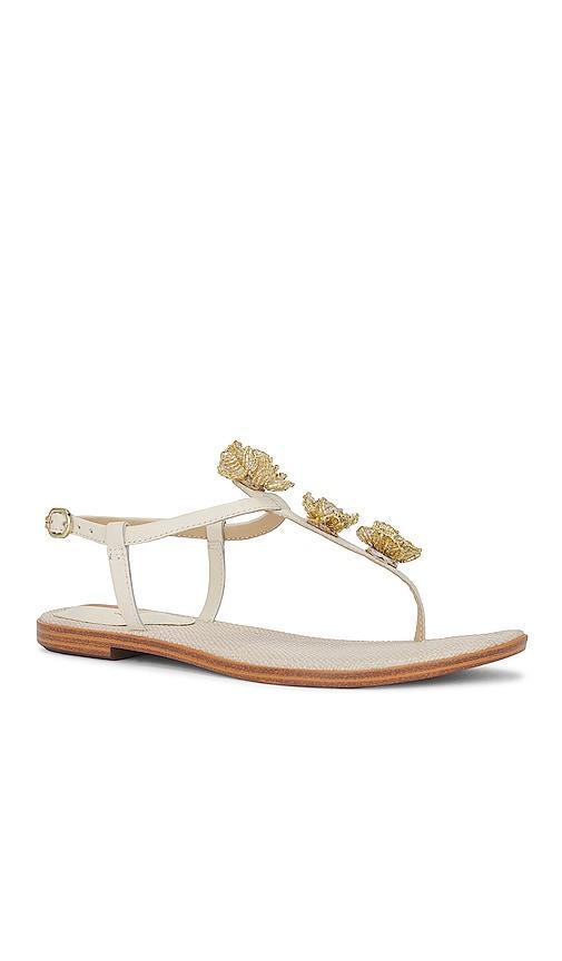 Sam Edelman Gigi Flora Sandal in Ivory. Size 10, 6.5, 7.5, 8, 8.5, 9, 9.5. Product Image