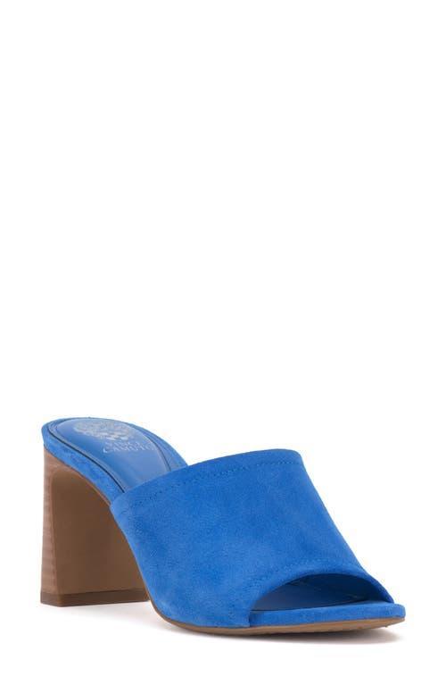 Vince Camuto Alyysa Slide Sandal Product Image