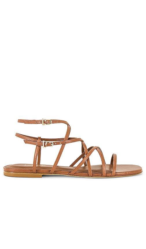 Naomi Flat Sandal Product Image