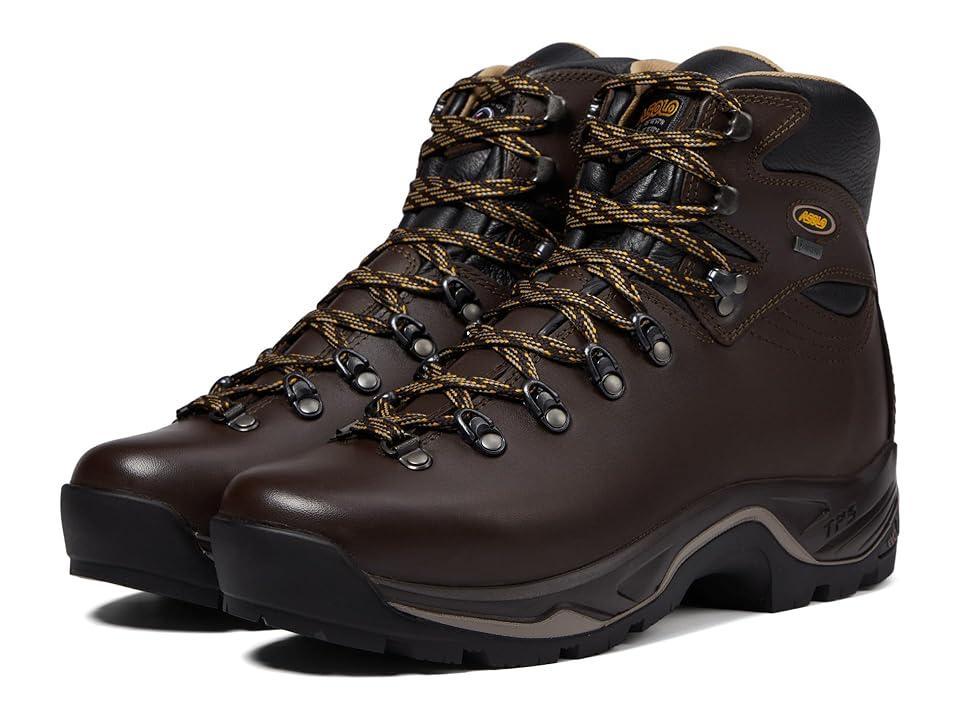 Asolo TPS 520 GV EVO (Chestnut) Men's Shoes Product Image