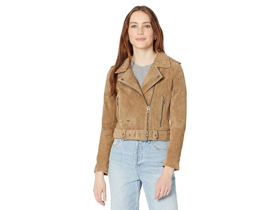 Blank NYC Suede Moto Jacket Women's Coat Product Image