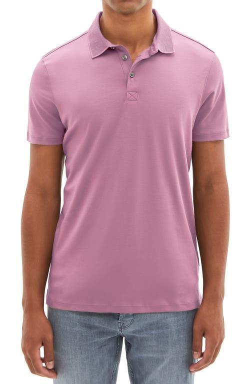 Robert Barakett Mens Georgia Pima Cotton Polo Product Image