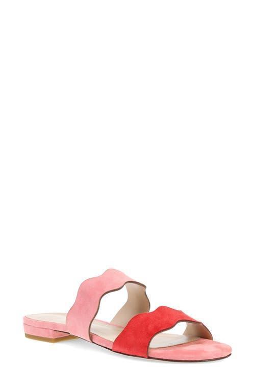 Pelle Moda Betia Slide Sandal in Flame/Flamingo at Nordstrom, Size 8 Product Image