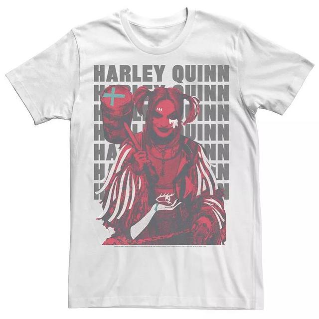 Mens Harley Quinn: Birds of Prey Stacked Text Tee Product Image