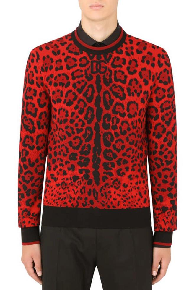 Round-neck Jacquard Sweater With Leopard Detailing In Multicolor Product Image