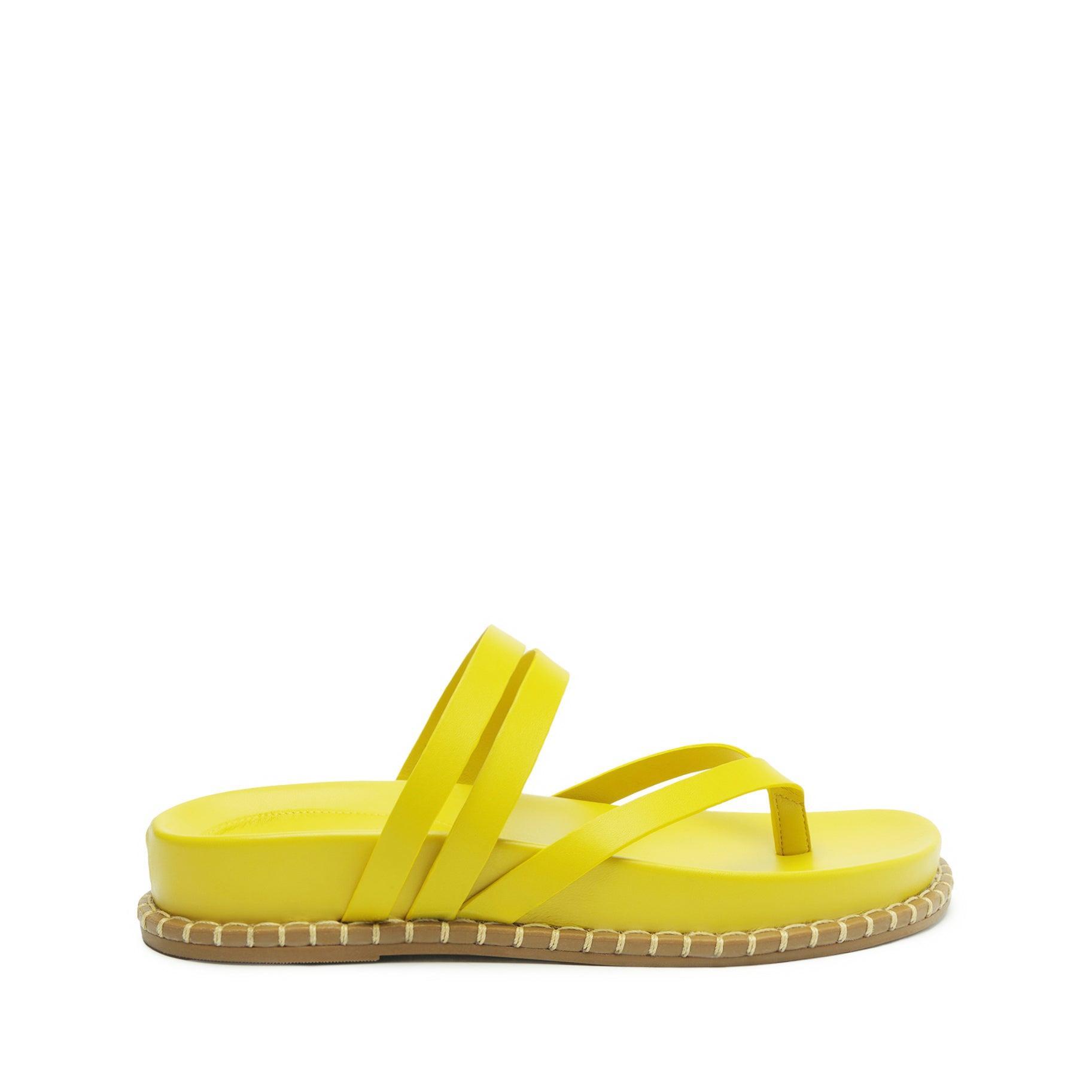 Rania Sporty Leather Sandal Female Product Image