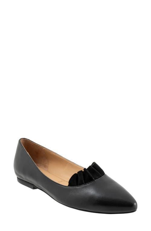 Trotters Elsie Pointed Toe Flat Product Image