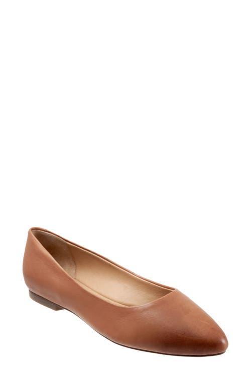 Trotters Estee Ballet Flat Product Image