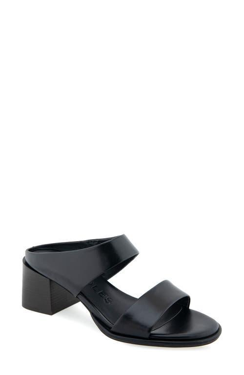 Aerosoles Nika Slide Sandal Product Image