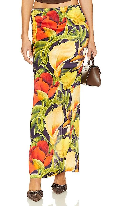 Maxi Skirt Product Image