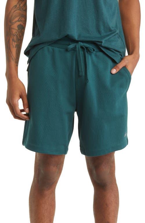 Mens 7.25 Chill Shorts Product Image