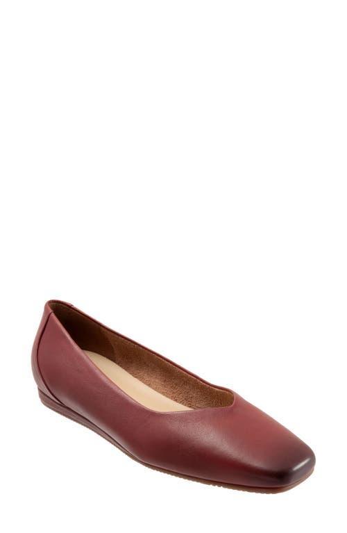 SoftWalk Vellore Leather Square Toe Flats Product Image