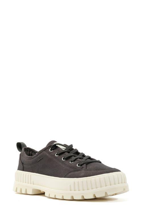 Palladium Pallashock Low Top Sneaker Product Image