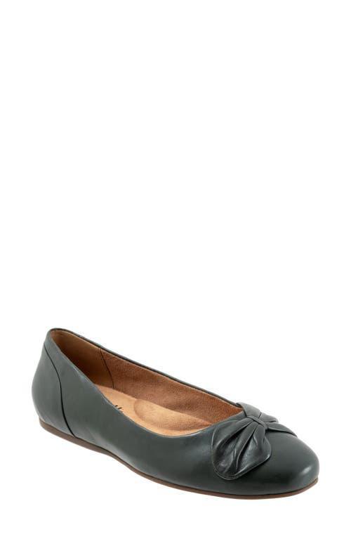 SoftWalk Sofia Bow Ballet Flat Product Image