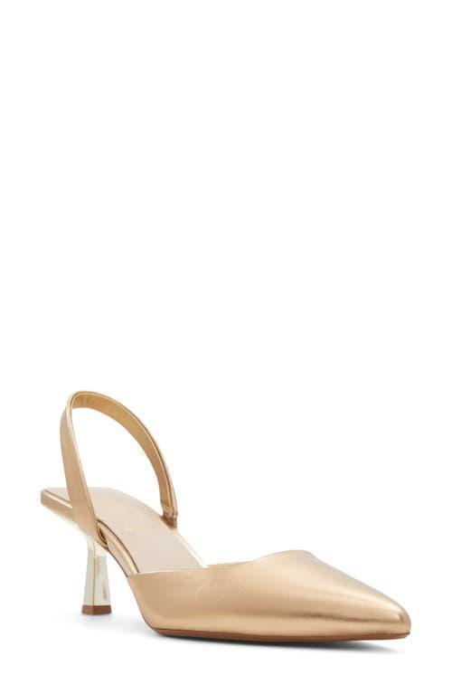 ALDO Basanti Pointed Toe Slingback Pump Product Image