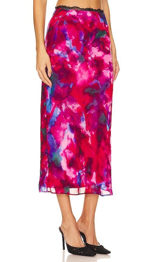 Phoenix Maxi Skirt Product Image